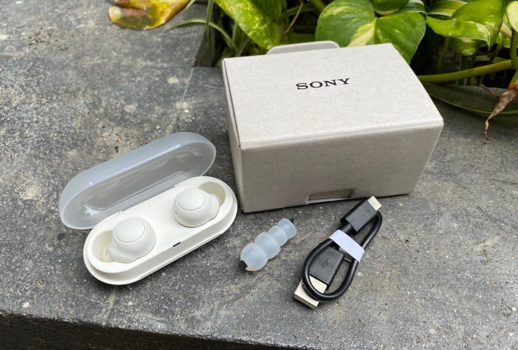 Sony WF-C500